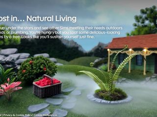 Imagem - Sims 4 Fadas